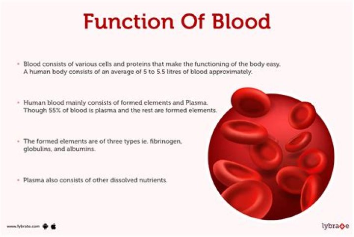 What are the 8 functions of blood