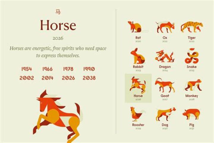 What are the characteristics of a horse in Chinese zodiac