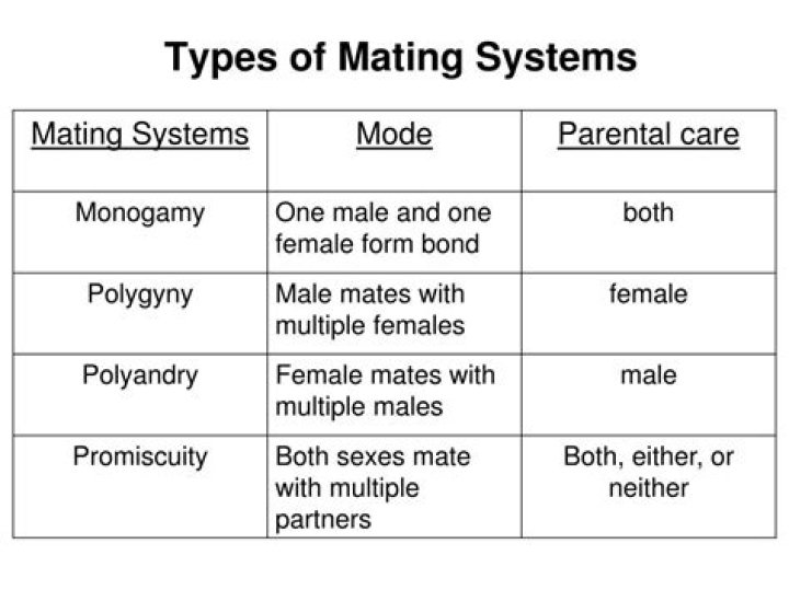 What are the different types of mating systems