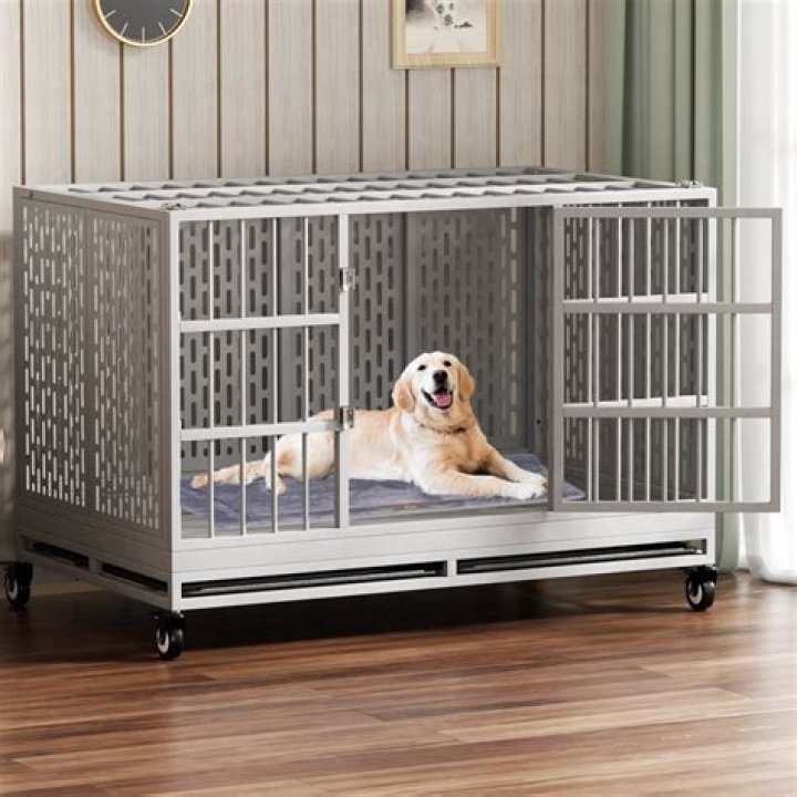 What are the dimensions of an XL dog crate