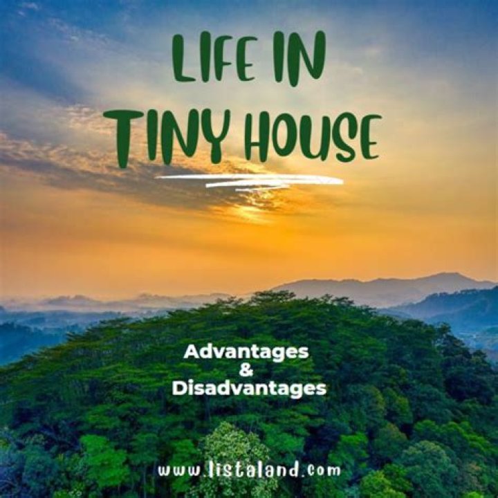 What are the disadvantages of a tiny house
