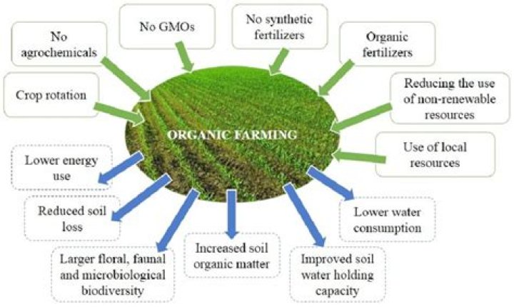 What are the effects of organic farming