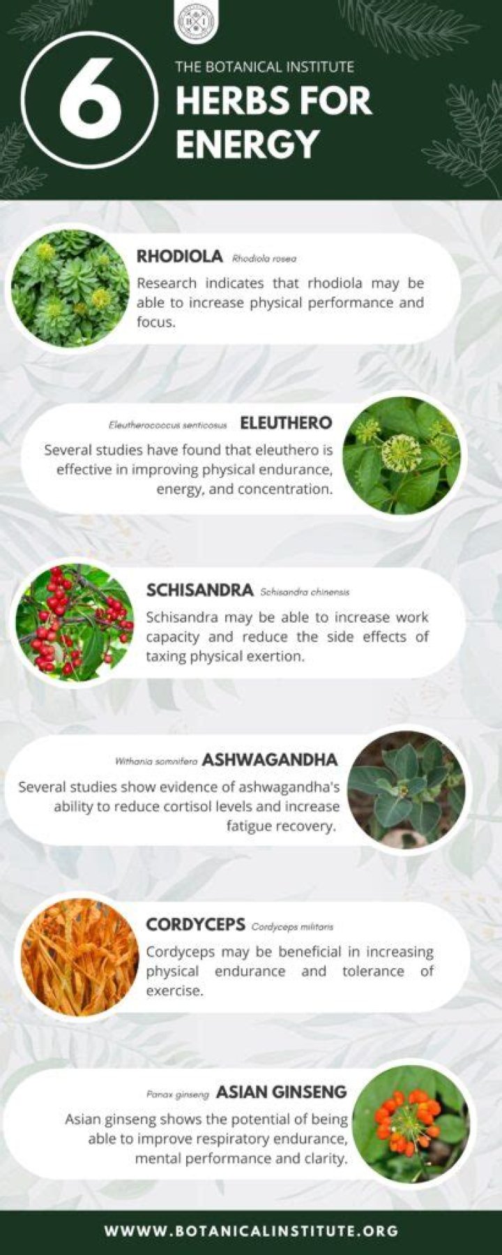 What are the five best herbs for dementia