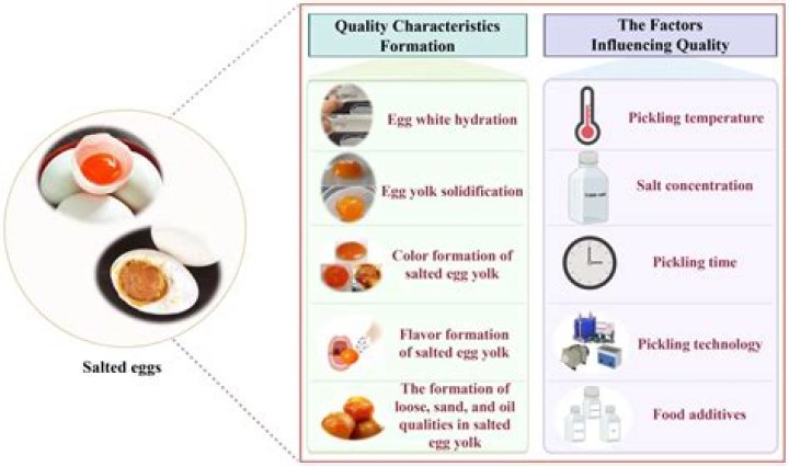 What are the five factors that influence the degree to which a substance is harmful or toxic