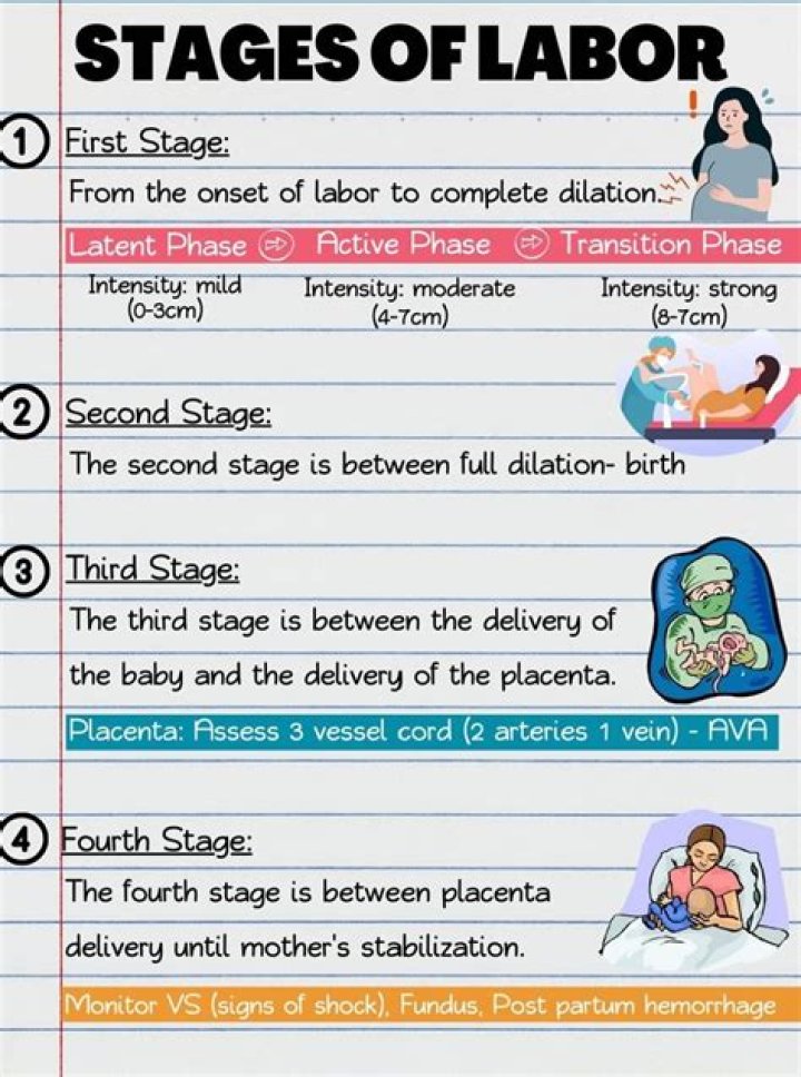 What are the four stages of labor quizlet