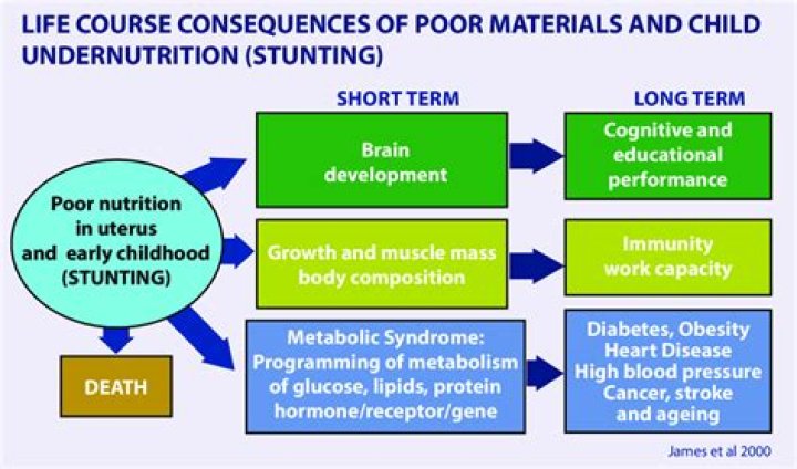 What are the long term effects of malnutrition