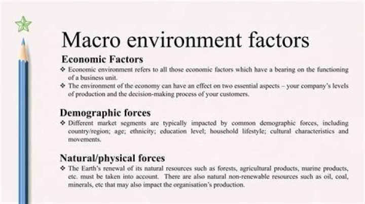 What are the macro environment factors