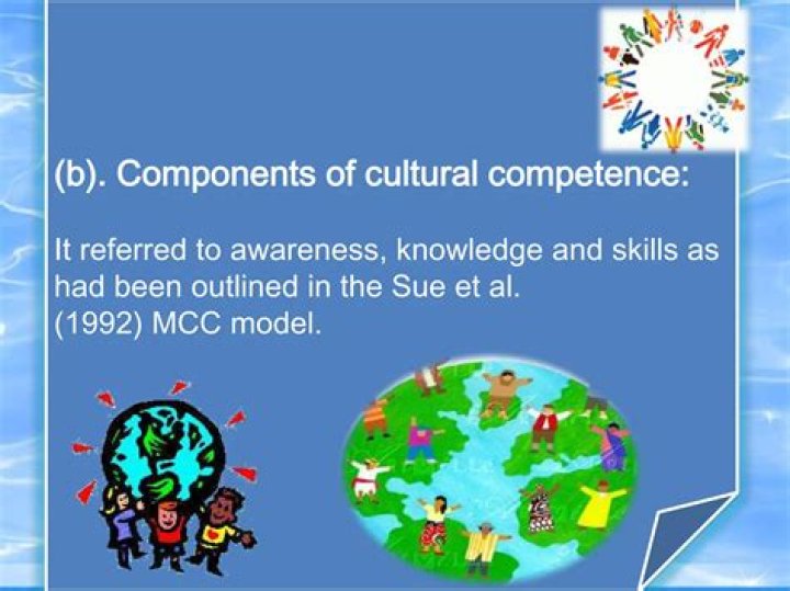 What are the multicultural counseling competencies