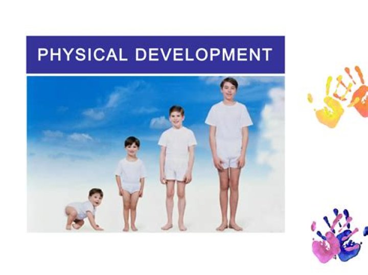 What are the physical development in middle childhood