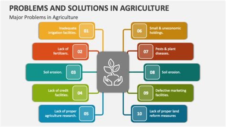 What are the problems of plants