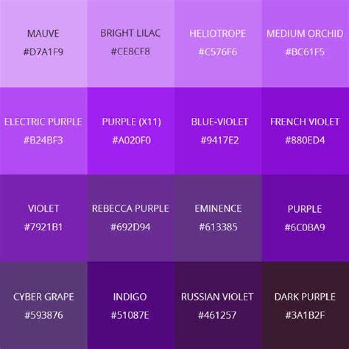 What are the shades of purple