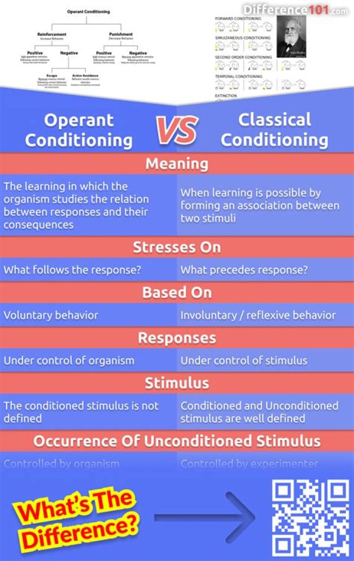What are the similarities and differences between operant and classical conditioning