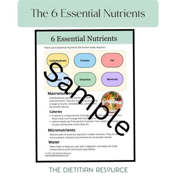 What are the six categories of essential nutrients