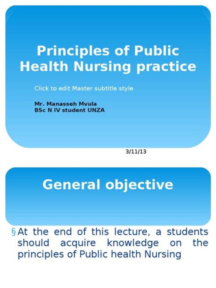 What are the three guiding principles of public health nursing practice