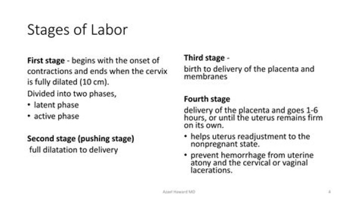 What are the three stages of labor quizlet