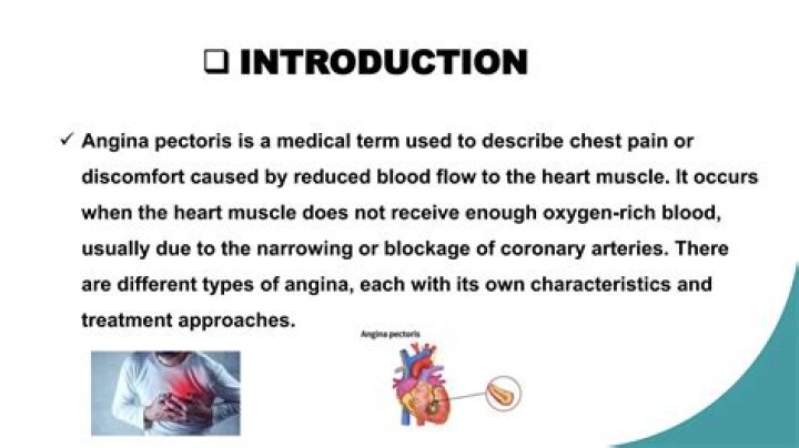 What are the types of angina pectoris