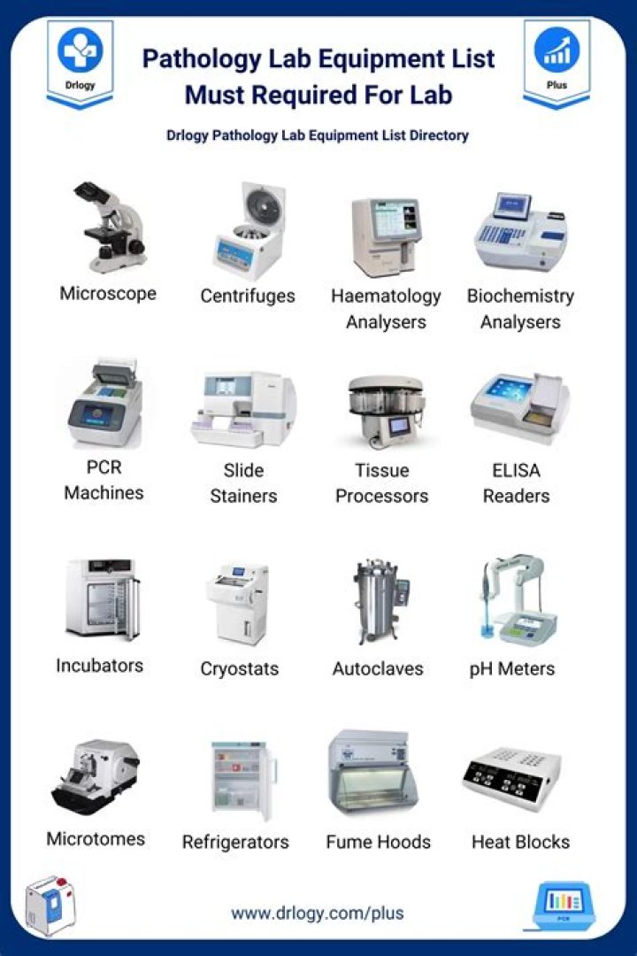 What are the types of pathology