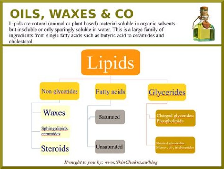 What are the uses of lipids
