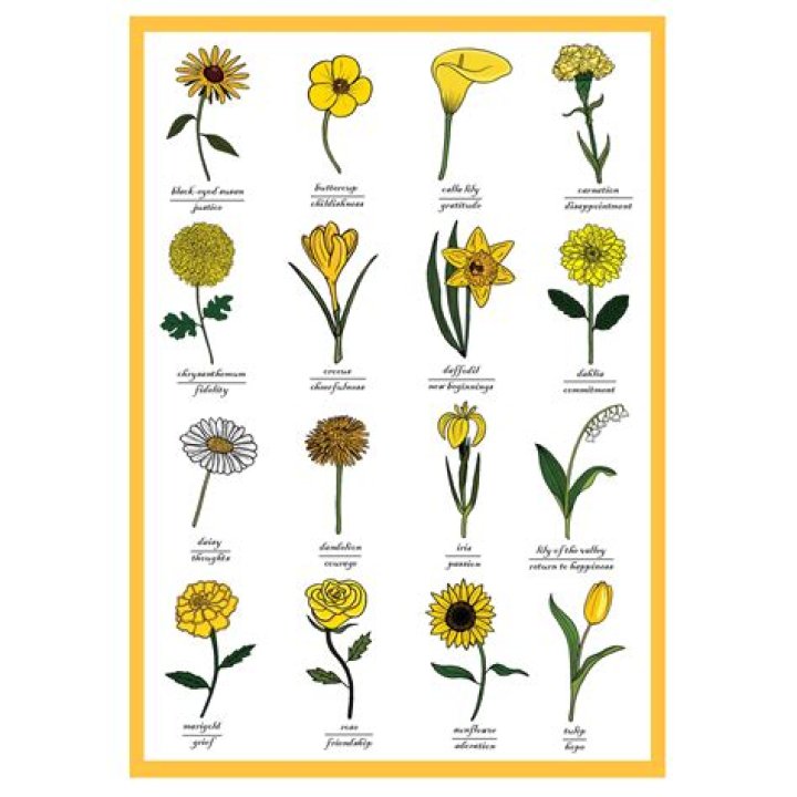 What are those yellow flowers called