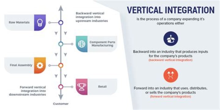 What are vertical integration strategies