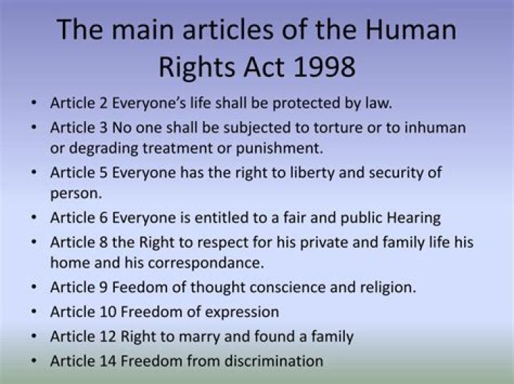 What article is human rights