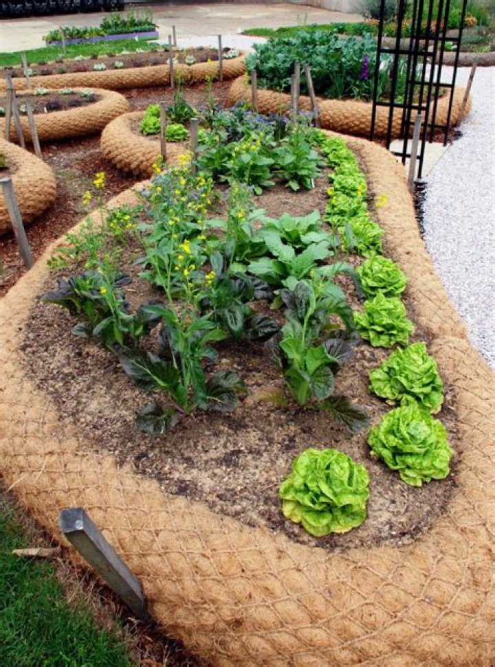 What benefits did people gain from growing a victory garden