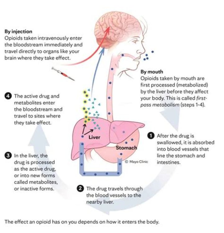 What body systems are affected by drugs