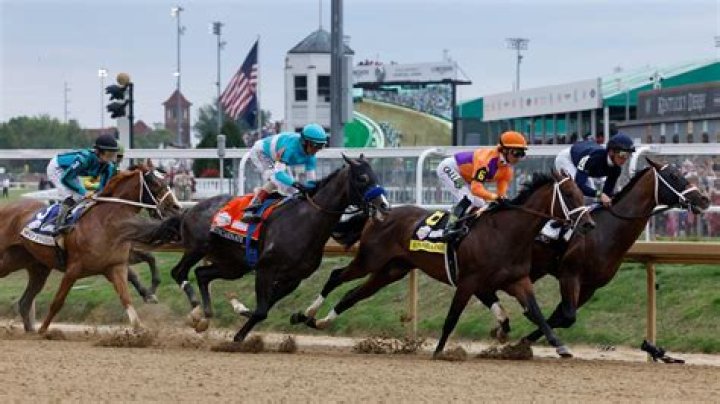 What breed of horses are used in harness racing