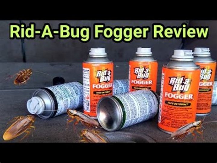 What bugs does rid a bug fogger kill