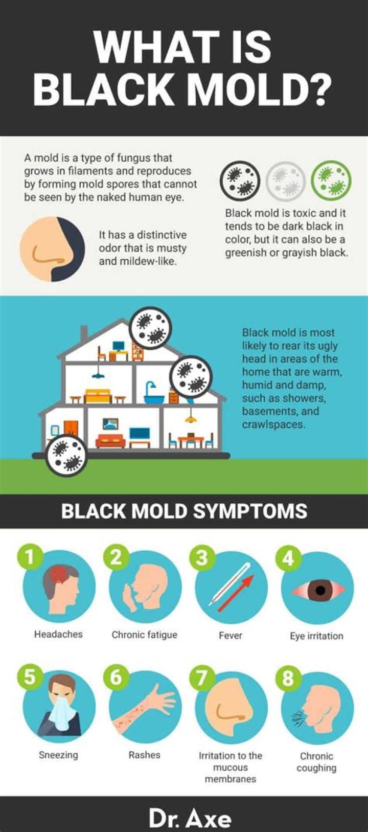What can black mold do to kids