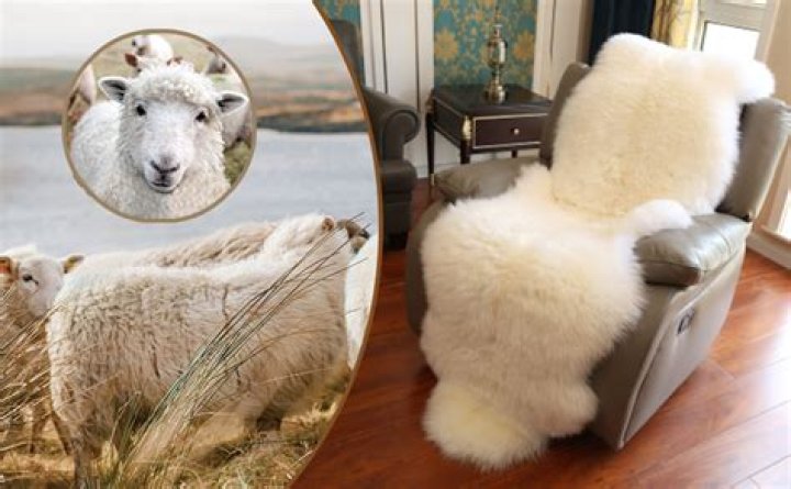 What can I do with a sheepskin rug