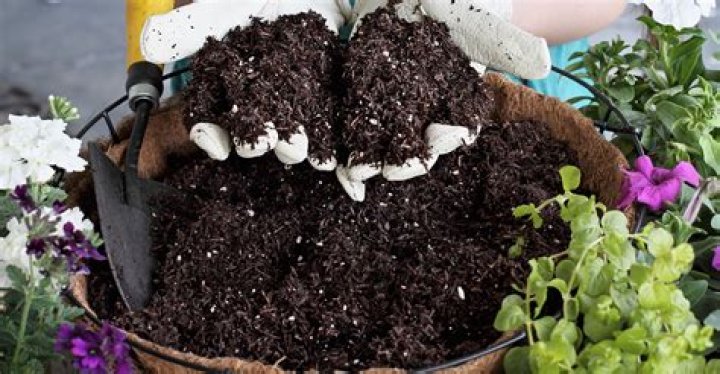 What can I do with last years potting soil
