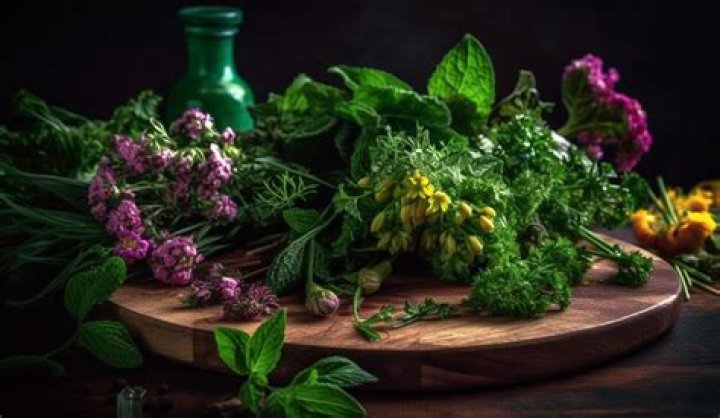 What can you do with rue herb