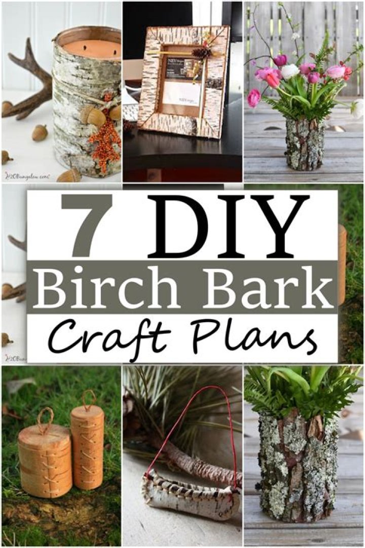 What can you make with birch tree branches