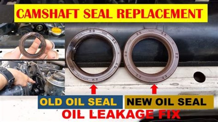 What causes cam seals to leak