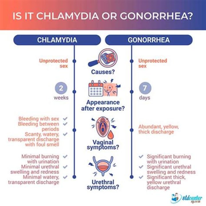 What causes gonorrhea and chlamydia