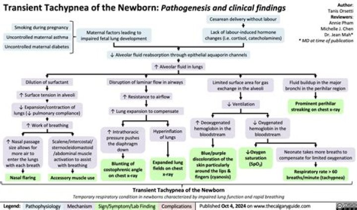 What causes infant tachypnea