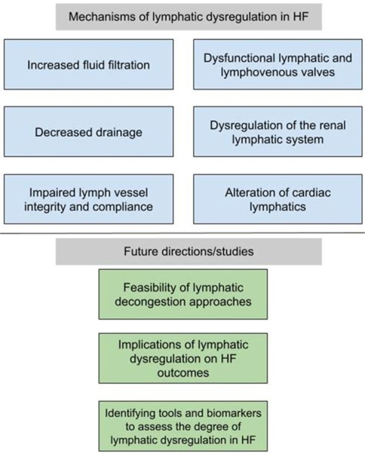 What causes the lymphatic system to fail