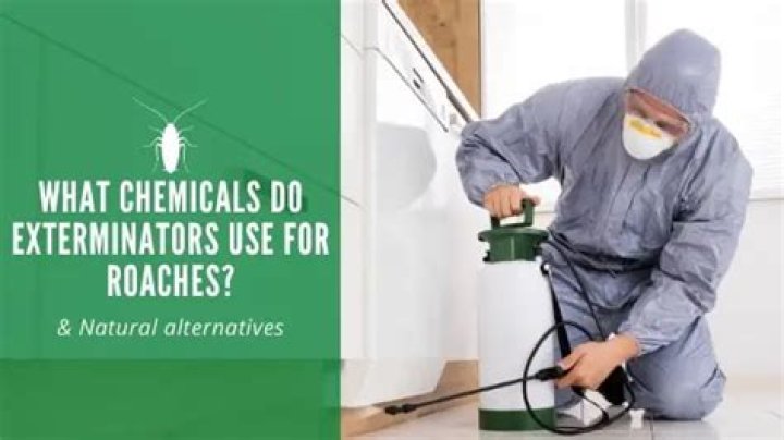 What chemicals do professional exterminators use