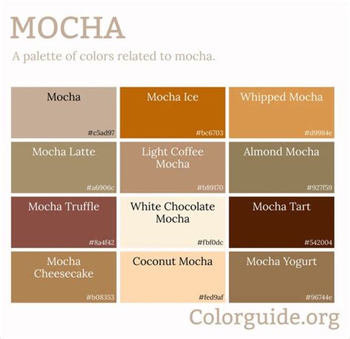 What color is mocha brown