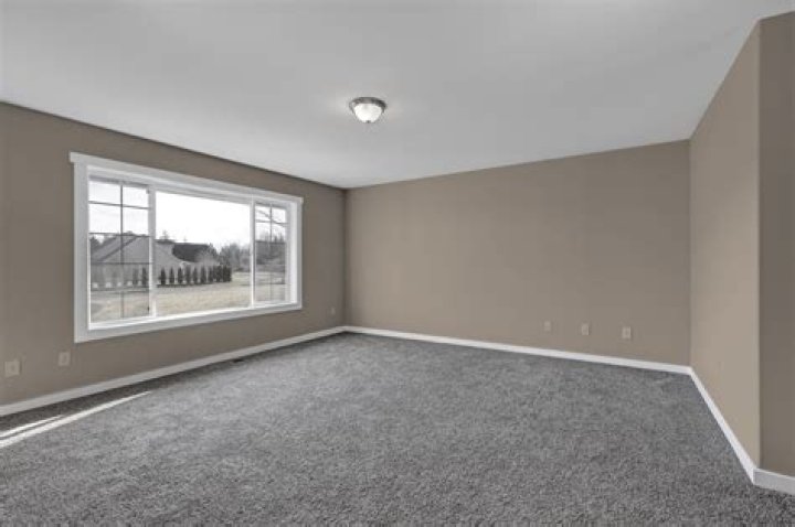 What colors go with tan carpet