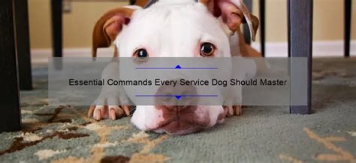 What commands does a service dog need to know