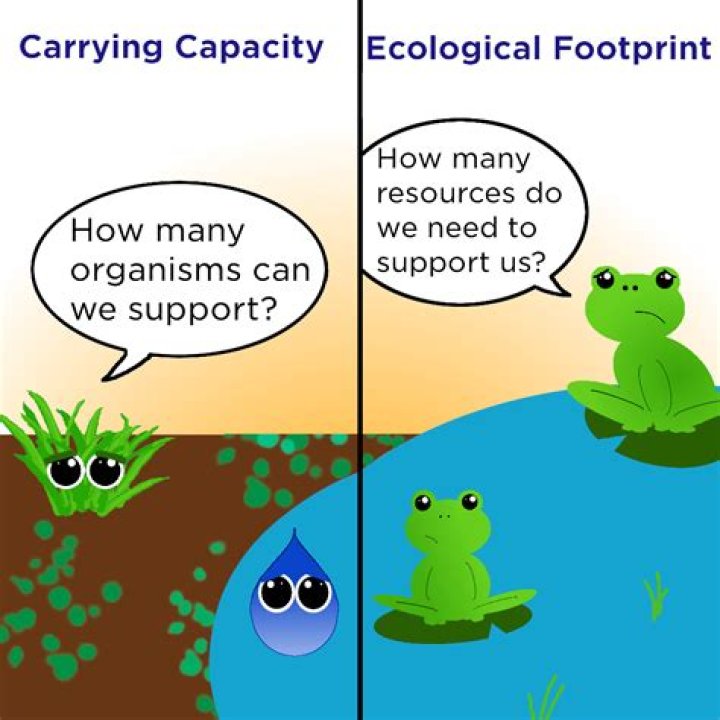 What determines the carrying capacity of an ecosystem