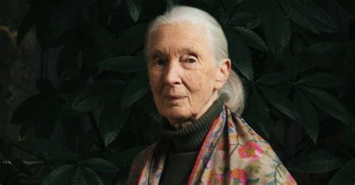 What did Jane Goodall teach us