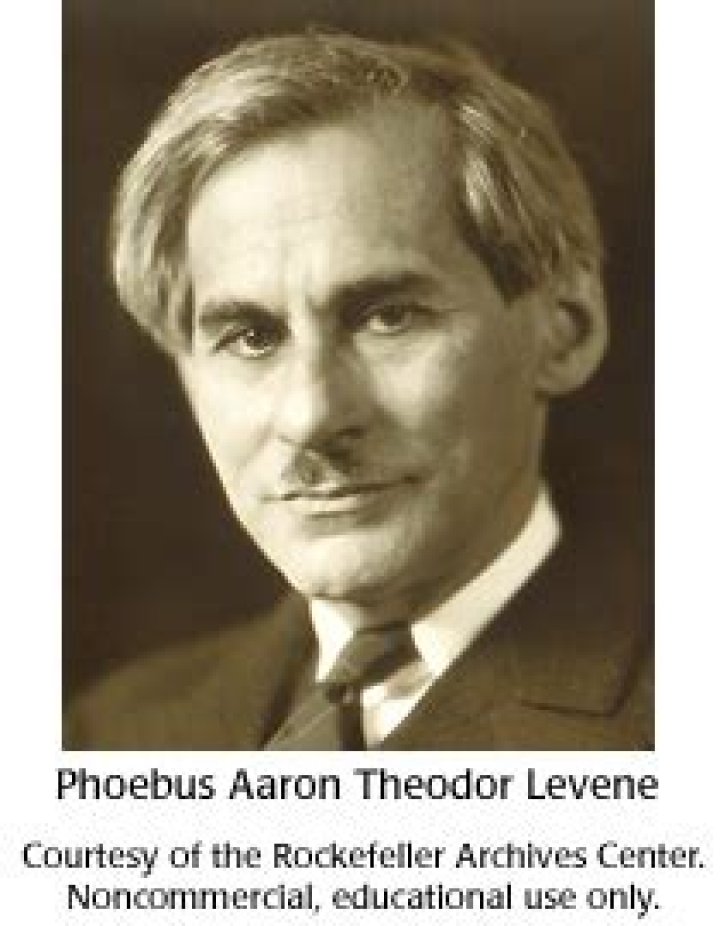 What did Phoebus Levene do