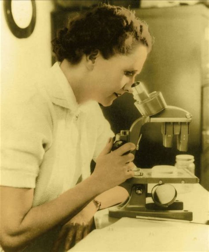 What did Rachel Carson do to help the world
