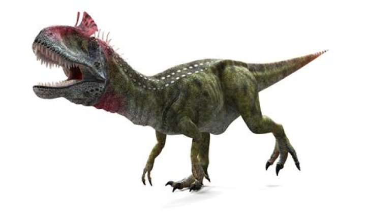 What did the Cryolophosaurus eat