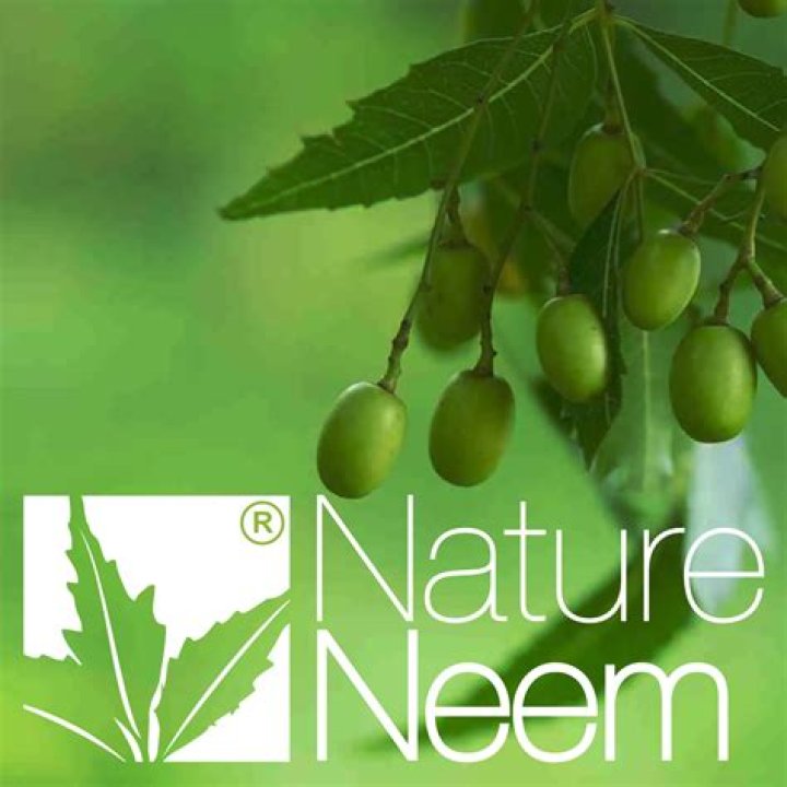 What diseases can neem cure