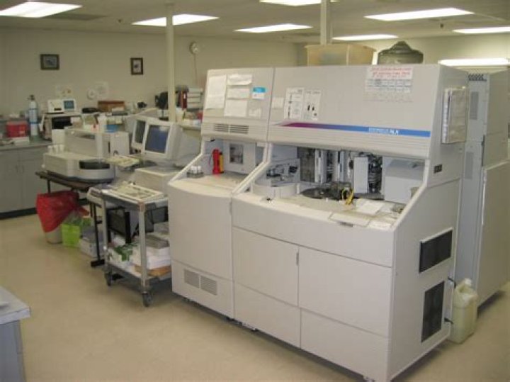 What do clinical laboratories do