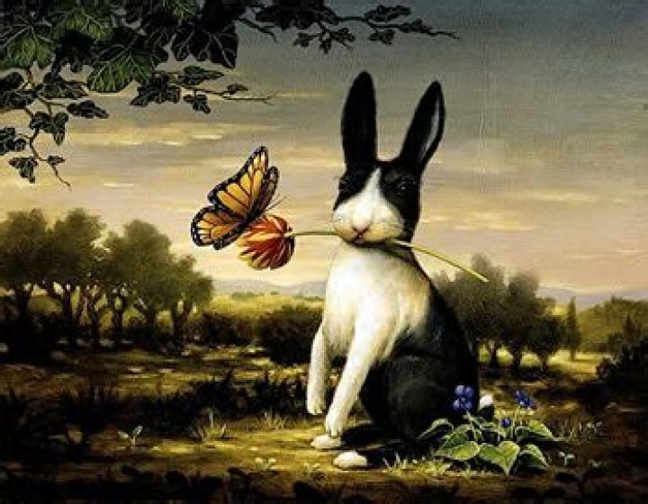 What do Nominalists believe